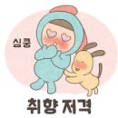 디자인단홍 네이버블로그