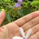 나를 만나는 모험 이미지