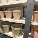 홍선생도시락 | 요즘 근황(feat. 임용 2차 후기)