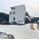 강릉 신상 동물 카페 &#39;디코이덕&#39; | 오리 먹이주기 체험과 커피까지 | 아이랑 실내 가볼 만한 곳
