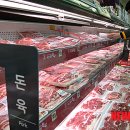 동해-단속-13 이미지