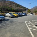 등뼈 감자탕 등갈비 이미지