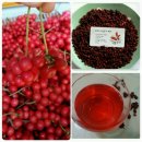 해와달농장 이미지