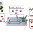 바이오큐 이미지