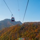 삼악산호수케이블카 | 춘천 삼악산 호수 케이블카 가을 단풍시즌 후기 및 입장권 할인 정보
