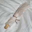 하유두인 | 다리마사지롤러 후기 | 하유두인폴플랜트 정강이스틱 마사지봉롤러 솔직 사용기