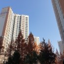 삼송탑 이미지