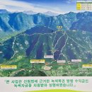 동해시-20 | 동해 초록봉 등산 후기 / 강원 20대 명산, 최단코스보다 정상 등산코스 이용을 추천하는 이유