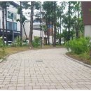 모롱지공원 이미지