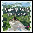 [발리 5박6일 여행] 발리스윙 꿀팁 피치헤븐스윙 내돈내산