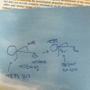 공임나라 용인양지점 이미지