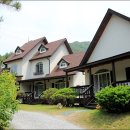 올리브 그린 펜션 글램핑 이미지