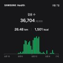 루니농장 | 킬리만자로 여행 2 마테루니 폭포, 커피투어 [9.6~9.8]