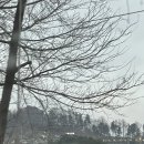 가평구름산카라반 이미지