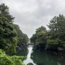제주 여행을 더 알차게 즐기는 방법, 제주투어패스 이용 후기:)