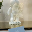 마메네일 이미지