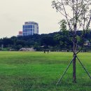 비금속물질 채취  제조  가공업 이미지