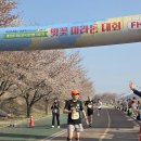 서서울호수동물병원 이미지