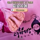 읍내길 | 해남 여행 가면 무조건 들러야 할 빵집 생활의 달인 피낭시에 고구마빵 후기