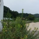 옥계상회 Daum카페