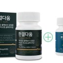 보리다움