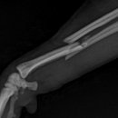 태백동물병원 이미지