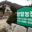 양달농장 이미지