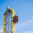 운영카랜드 이미지