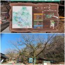 지경터 | [명산기행#286] 천년고찰 송광사와 선암사를 품은 순천_조계산