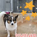 팅커벨 - 부평구 | 팅커벨