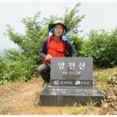 형제종축 네이버블로그