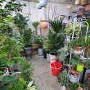 원일로73번길 이미지