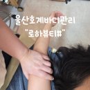 울산호계바디관리 로하뷰티샵 목 어깨 집중 매곡 수기관리 맛집
