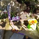 은환농장 이미지