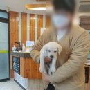 레인보우 동물병원 이미지