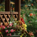 래티스(LATTICE) 이미지