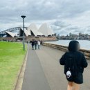 여행영어 | 원어민 온라인 여행영어 영국문화원 성인 화상영어 솔직후기