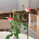 베이커리 알레 이미지