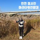 [인천/정서진] &#39;아라타워 전망대&#39; 인천 근교 가볼 만한 곳, 가을 억새, 아라뱃길 억새