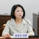중동1154-6 ↔ 중동1154 이미지