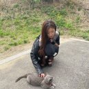 쓰담 이미지