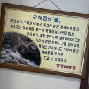 동강매운탕 | 겨울 캠핑 후 뜨끈함 충전! 포천맛집 밥도둑 동강매운탕의 매력 탐구해요