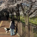 반월놀이공원 이미지