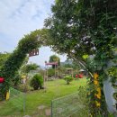 더 스테이584 이미지