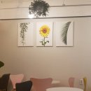 달빛시루 이미지
