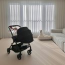 아기있는집 거실 매트 크림하우스 슬라이드 프리그라운드 2개월 사용 후기