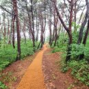 바우하우스인원주 이미지