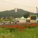 파주 심학산(194M-경기도 고양시,파주시 교하읍)돌곶이 꽃축제 이미지