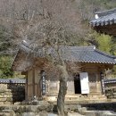 화엄사 이미지