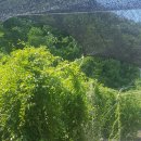 석진농장 이미지